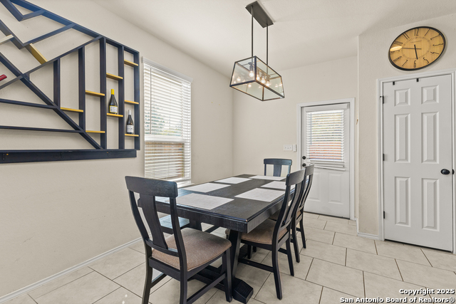 Image 12 of 33 For 1447 Polydora