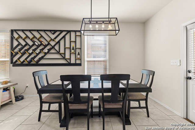 Image 13 of 33 For 1447 Polydora