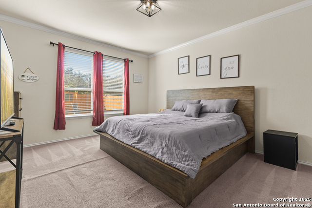 Image 18 of 33 For 1447 Polydora