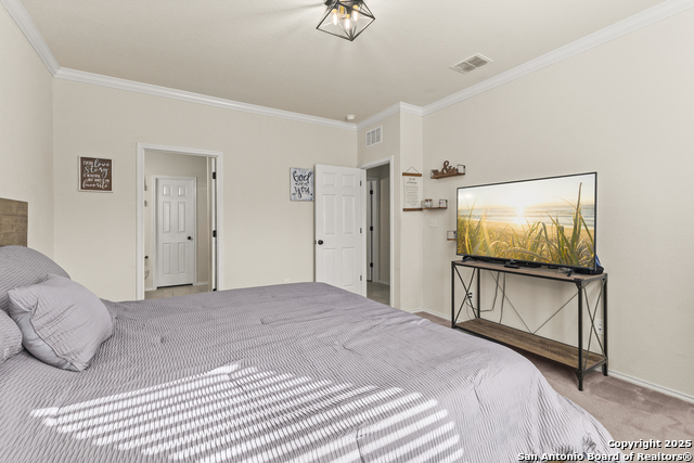 Image 19 of 33 For 1447 Polydora