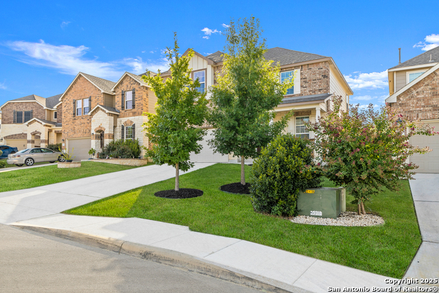 Image 2 of 33 For 1447 Polydora