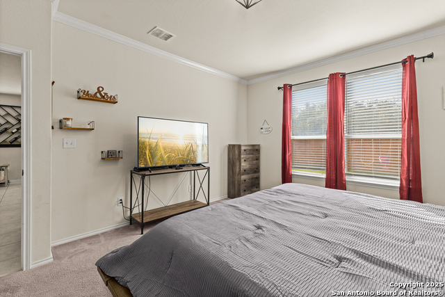 Image 20 of 33 For 1447 Polydora