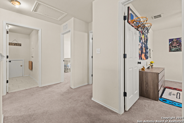 Image 25 of 33 For 1447 Polydora