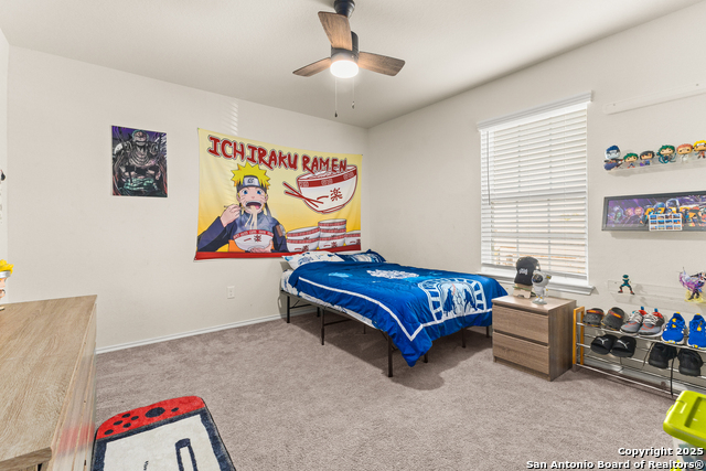 Image 26 of 33 For 1447 Polydora