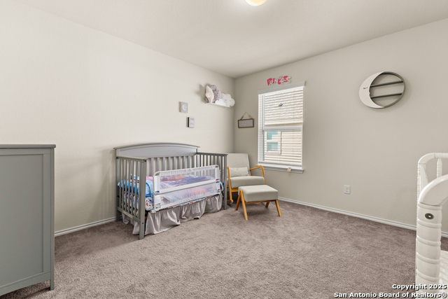 Image 28 of 33 For 1447 Polydora