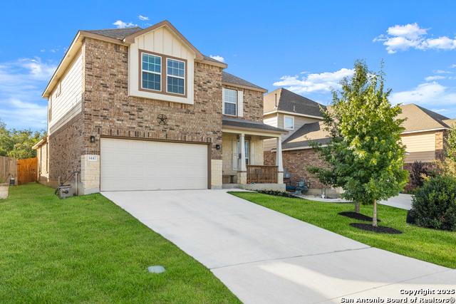 Image 3 of 33 For 1447 Polydora