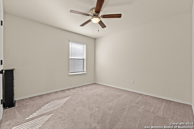 Image 30 of 33 For 1447 Polydora