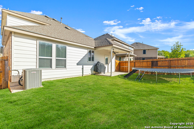 Image 32 of 33 For 1447 Polydora