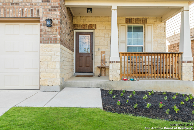 Image 4 of 33 For 1447 Polydora