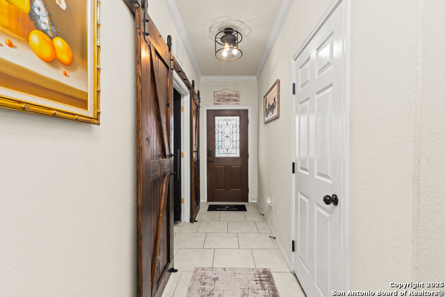 Image 6 of 33 For 1447 Polydora