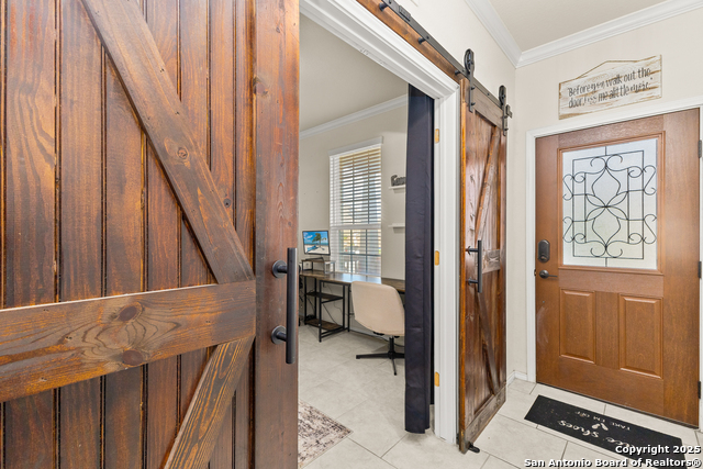 Image 7 of 33 For 1447 Polydora