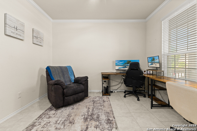 Image 8 of 33 For 1447 Polydora