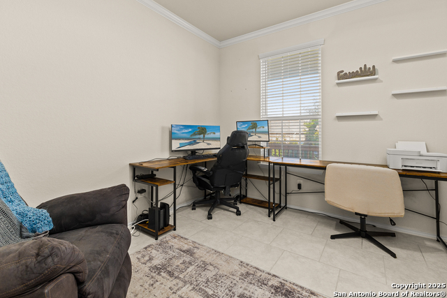 Image 9 of 33 For 1447 Polydora