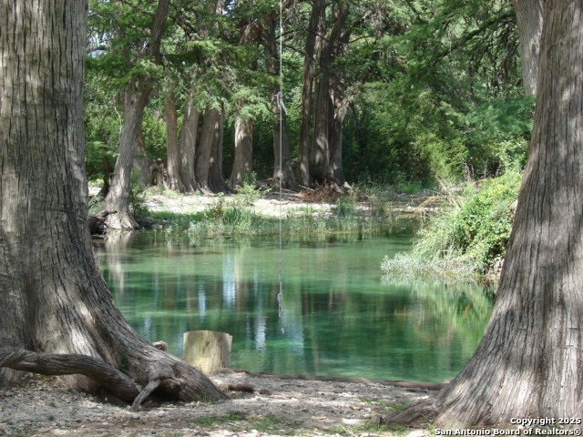 Image 53 of 56 For 181 Leinweber Dr