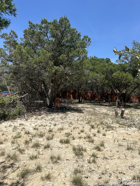 Listing photo id 9 for Lots 395 & 396 North Trl