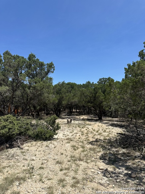 Listing photo id 12 for Lots 395 & 396 North Trl