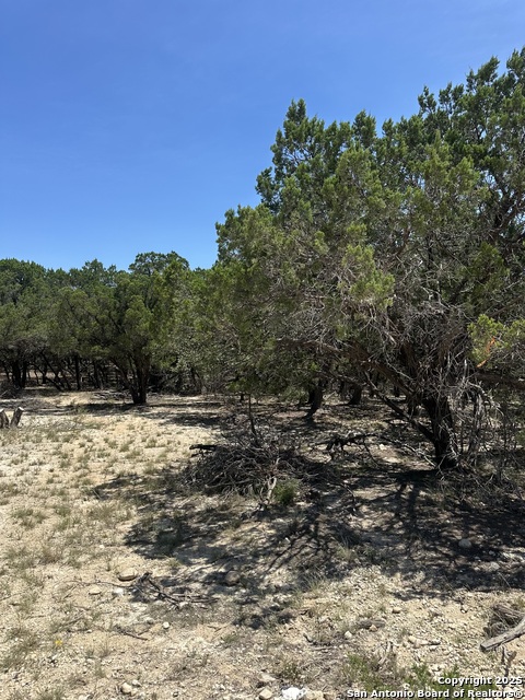 Listing photo id 13 for Lots 395 & 396 North Trl