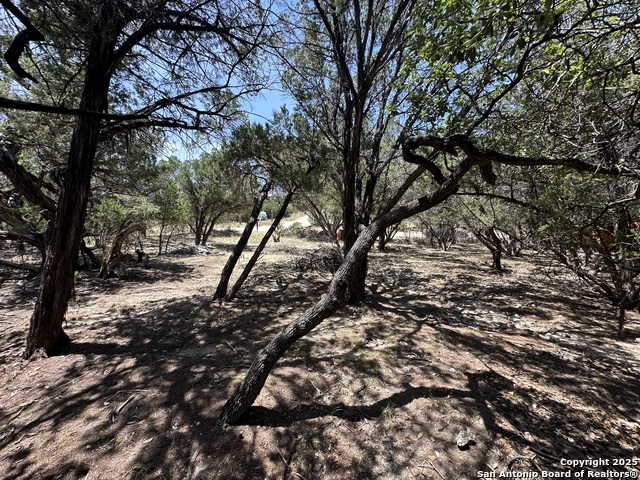 Listing photo id 1 for Lots 395 & 396 North Trl