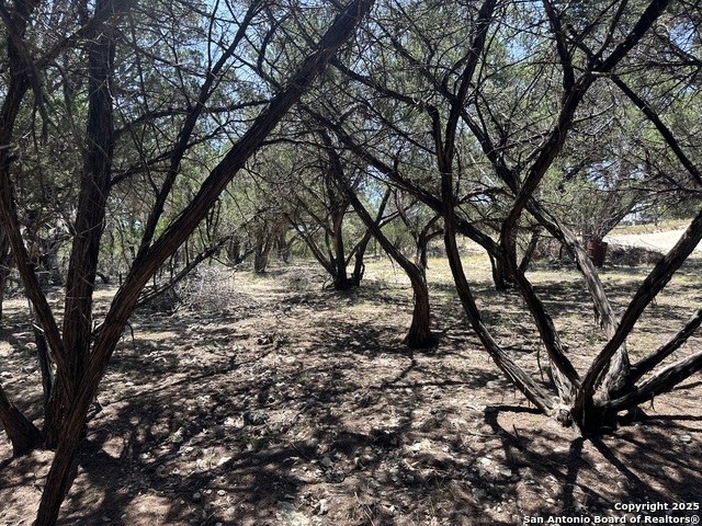 Listing photo id 3 for Lots 395 & 396 North Trl