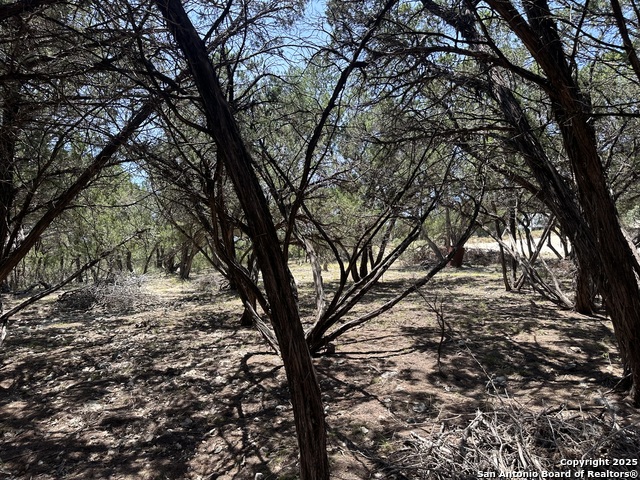 Listing photo id 4 for Lots 395 & 396 North Trl