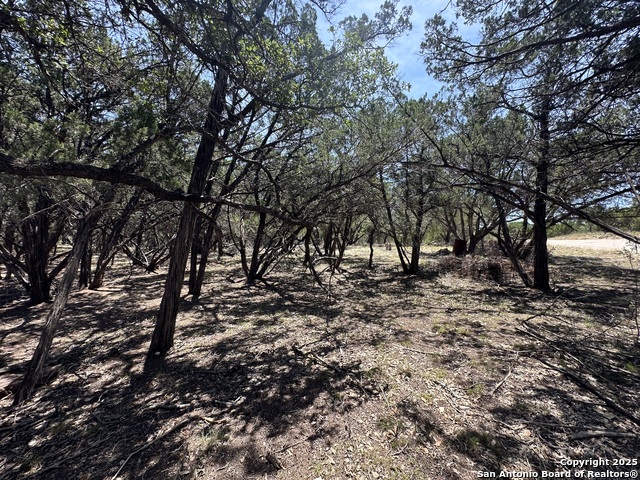 Listing photo id 5 for Lots 395 & 396 North Trl