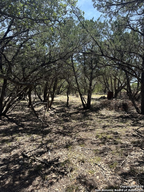 Listing photo id 6 for Lots 395 & 396 North Trl