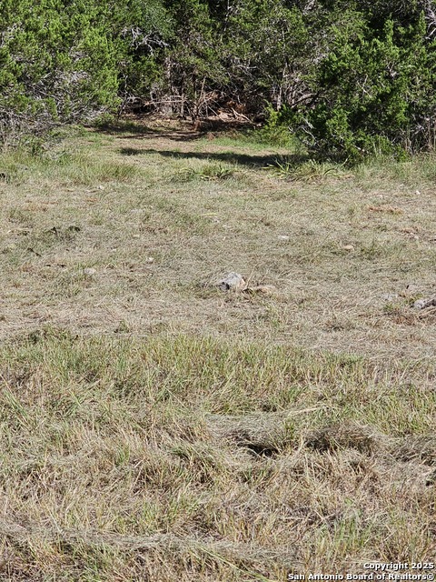 Image 25 of 35 For Lot 155 La Luna Dr