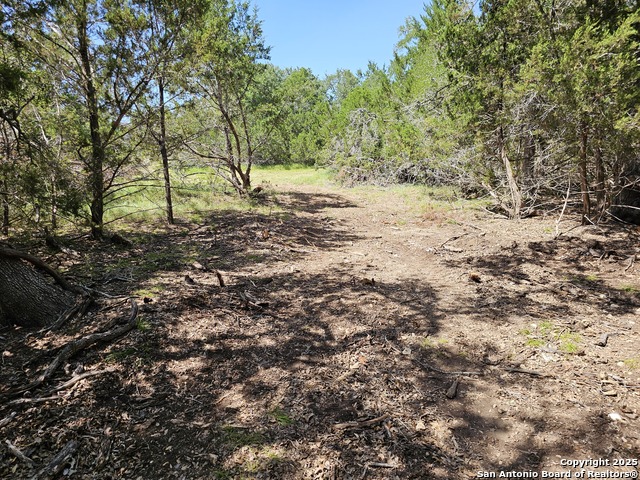 Image 4 of 35 For Lot 155 La Luna Dr