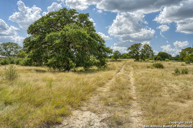 Image 49 of 60 For Lot 45 Sabinas Creek Ranch