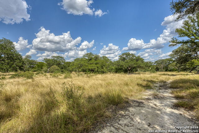 Image 50 of 60 For Lot 45 Sabinas Creek Ranch