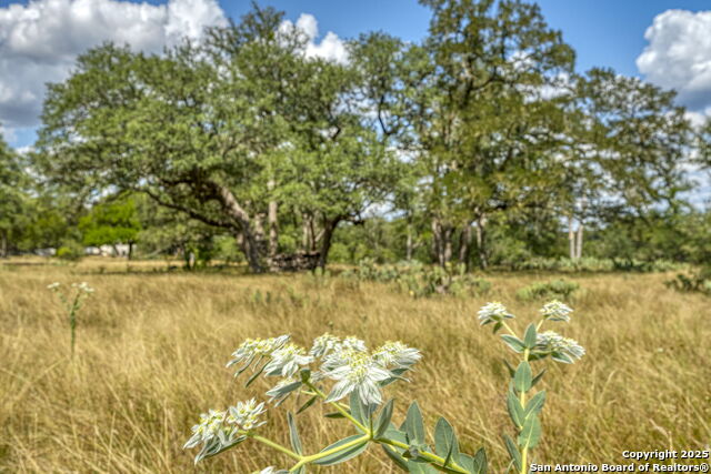 Image 53 of 60 For Lot 45 Sabinas Creek Ranch