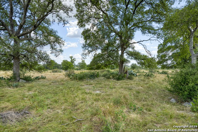 Image 59 of 60 For Lot 45 Sabinas Creek Ranch