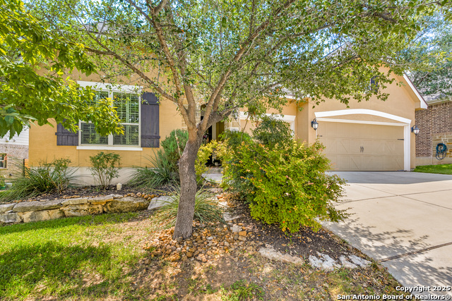 Image 2 of 36 For 24323 Arboles Verdes