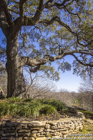 Image 41 of 41 For 206 Heideke S