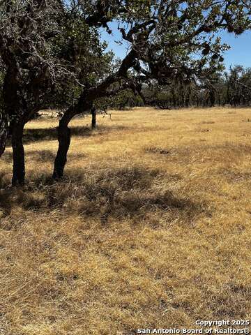 Details for Lot 85 Stock Pond Dr., Harper, TX 78631