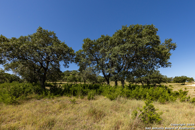 Listing photo id 11 for Lot 43 Blackbuck Trail