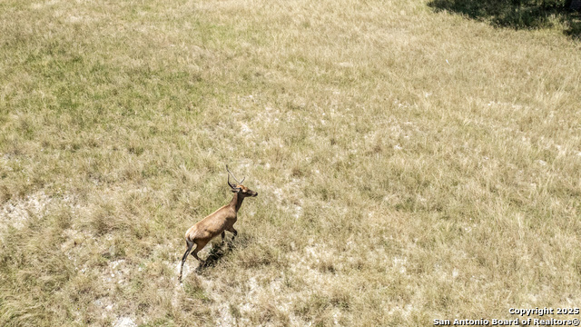 Listing photo id 38 for Lot 43 Blackbuck Trail