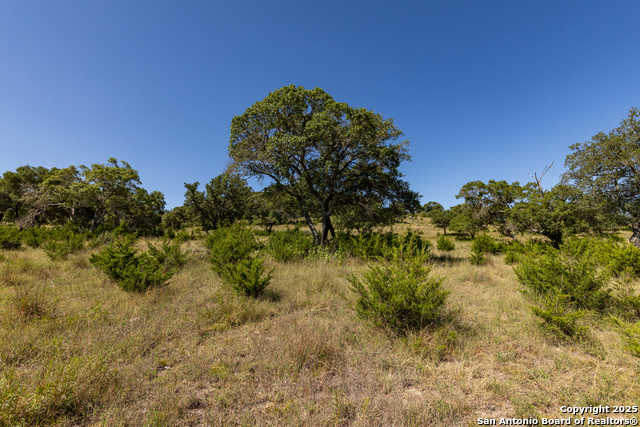 Listing photo id 40 for Lot 43 Blackbuck Trail