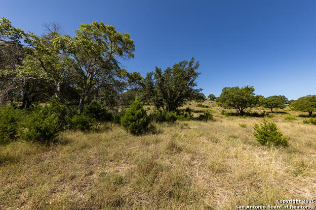 Listing photo id 41 for Lot 43 Blackbuck Trail