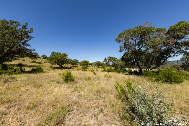Listing photo id 42 for Lot 43 Blackbuck Trail