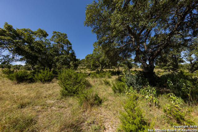 Listing photo id 43 for Lot 43 Blackbuck Trail