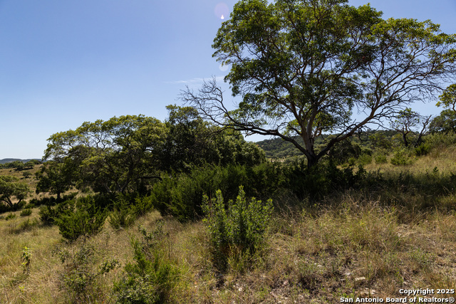 Listing photo id 45 for Lot 43 Blackbuck Trail