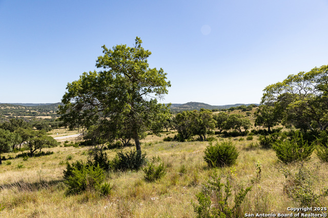 Listing photo id 3 for Lot 43 Blackbuck Trail