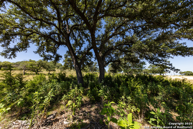 Listing photo id 56 for Lot 43 Blackbuck Trail