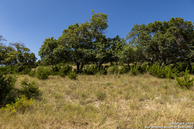 Listing photo id 6 for Lot 43 Blackbuck Trail