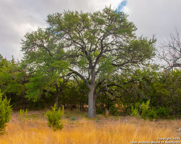Image 6 of 37 For 689 Fm 289  