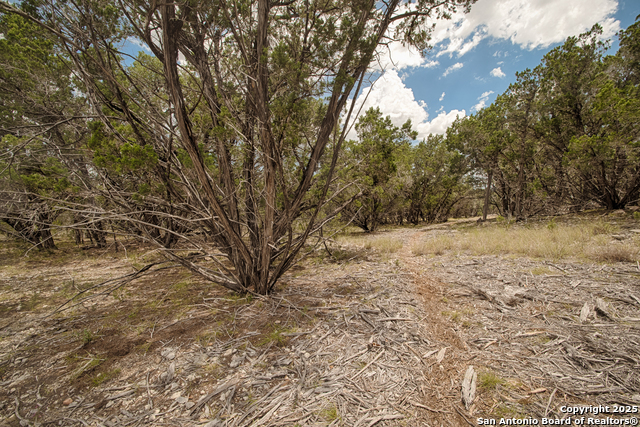 Listing photo id 9 for Tbd English Crossing