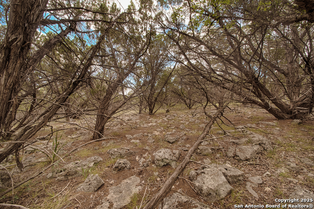 Listing photo id 10 for Tbd English Crossing