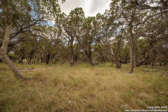 Listing photo id 2 for Tbd English Crossing