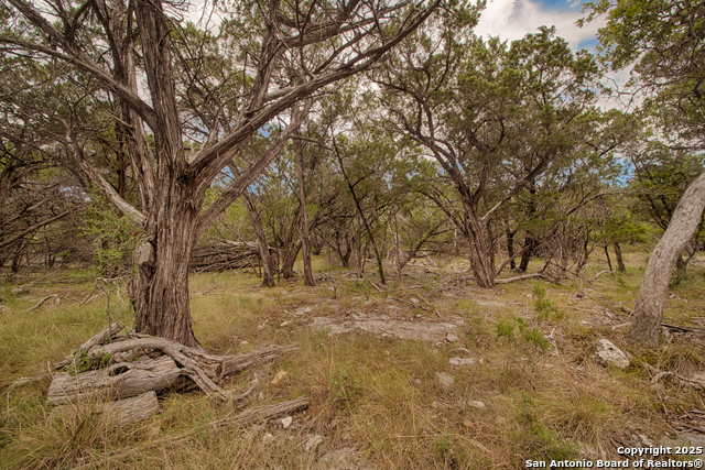 Listing photo id 3 for Tbd English Crossing